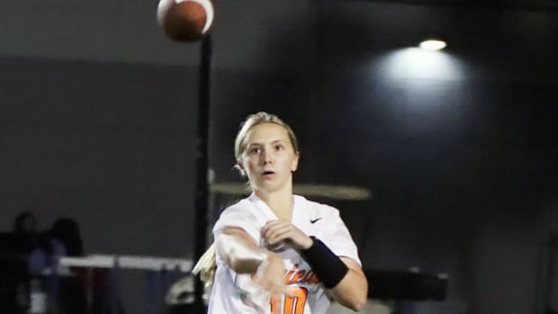 Ansley DeVos